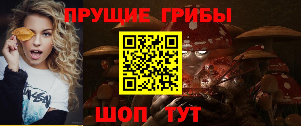 Галлюциногенные грибы Psilocybe Красный Сулин