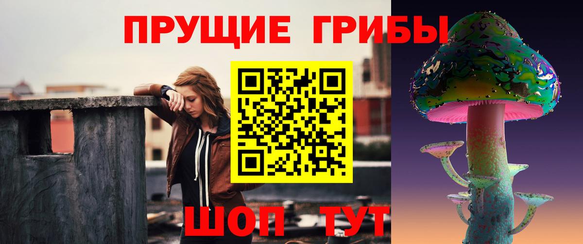 магазин продажи наркотиков  Вход с VPN  Красный Сулин  Галлюциногенные грибы Cubensis 